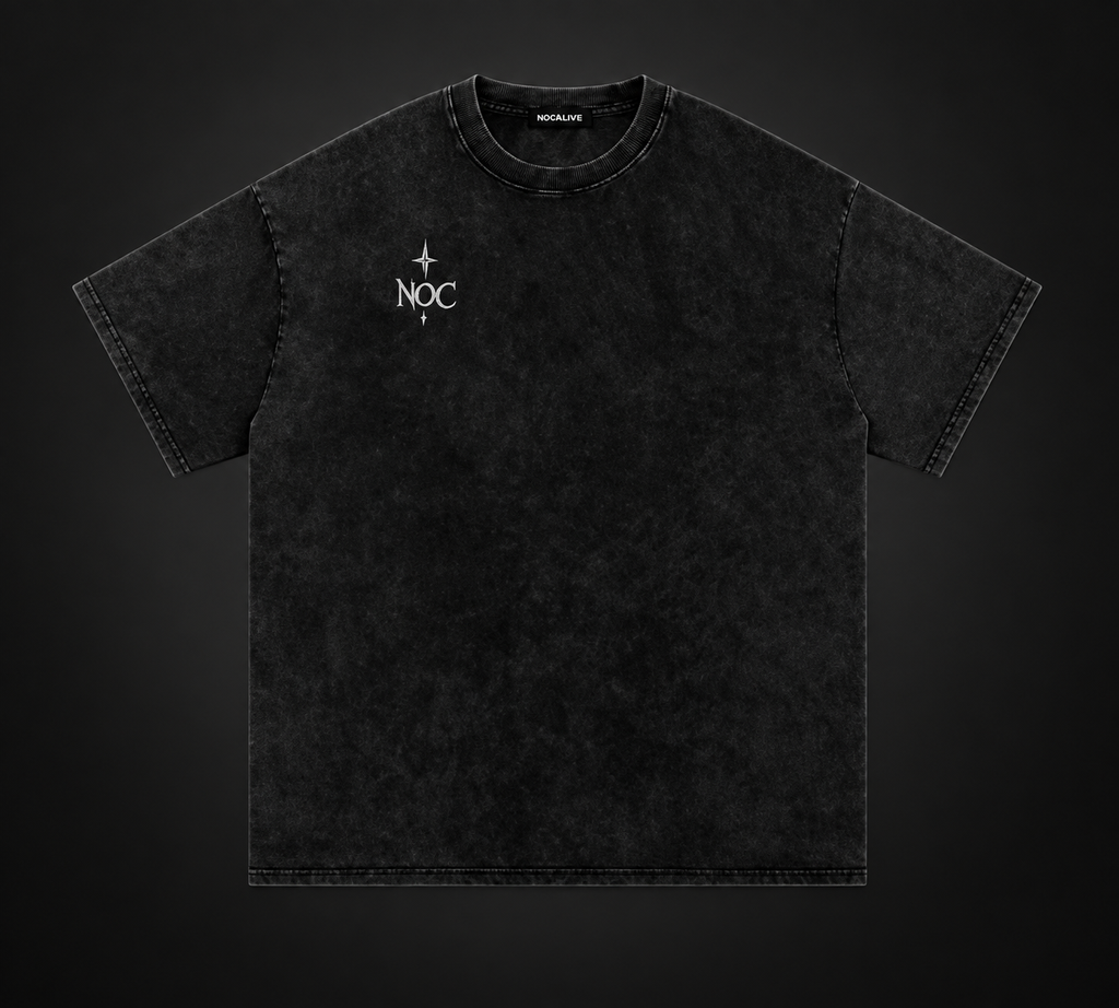 Snow Washed Oversized Cotton T-Shirt